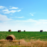 Kansas-Landscape-1