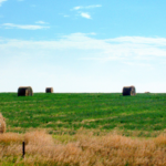 Kansas-Landscape-2