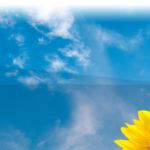 ssj-masthead_A10