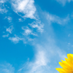 ssj-masthead_B2