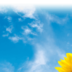 ssj-masthead_A11tiny