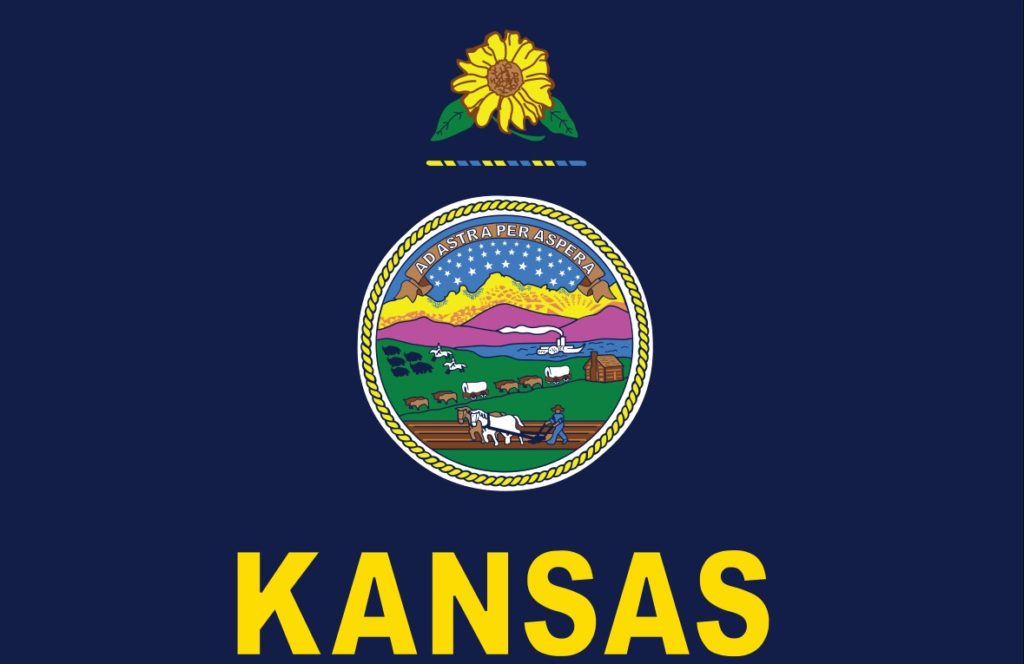 Kansas health insurance rates flatten; children without coverage up ...