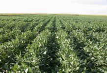 Trump’s $12 billion aid package for farmers: A complete roundup