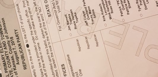 State makes public number of ballots cast during grace period in primary