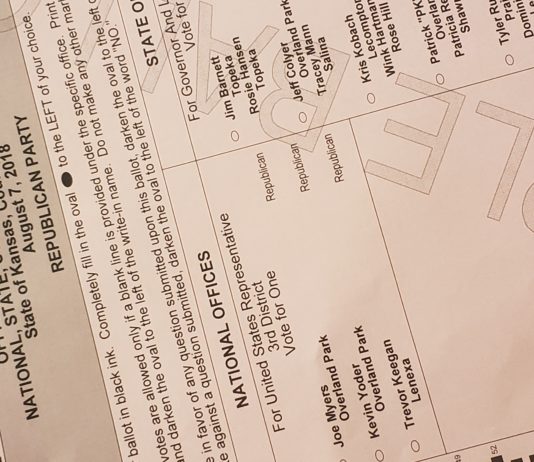 State makes public number of ballots cast during grace period in primary