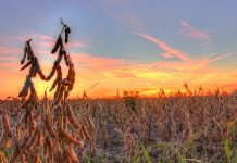 Sunday Reader: RNC runs into opposition in voting case; New ACA rates; Eakins’ ads