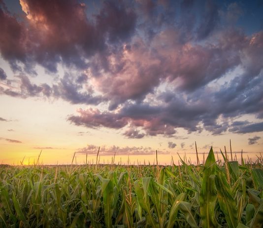 Sunday Reader: Labor union backs Masterson; 3-day grace period ruling sought by October