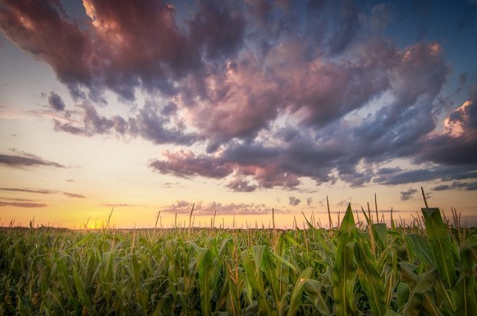 kansasfarms