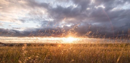 Sunday Reader: Illinois governor delivers for Kelly PAC; 1776 PAC returns; SOS fundraising